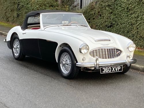 Austin Healey