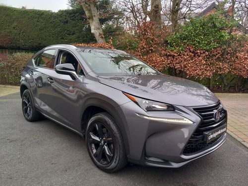 Lexus NX