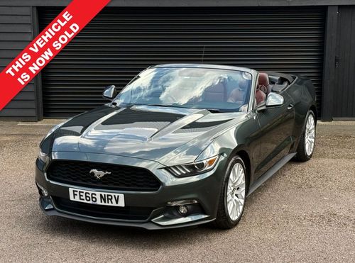 Ford MUSTANG