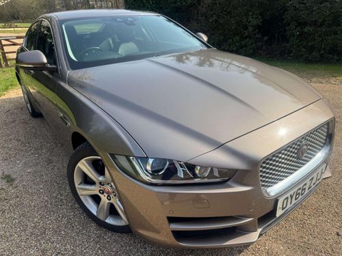 Jaguar XE