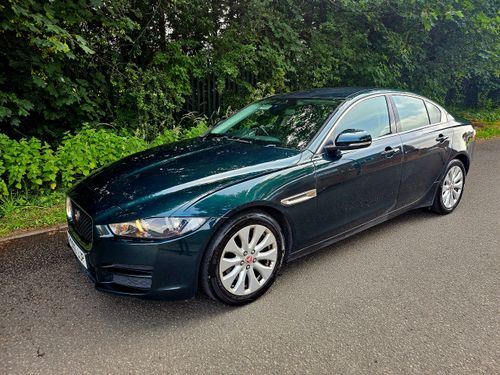 Jaguar XE