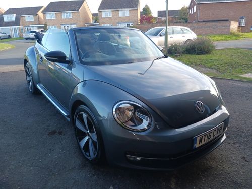 Volkswagen Beetle