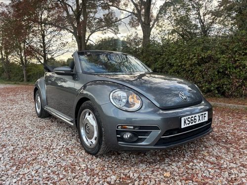 Volkswagen Beetle